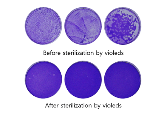 UV LED燈,能不能殺死冠狀病毒?