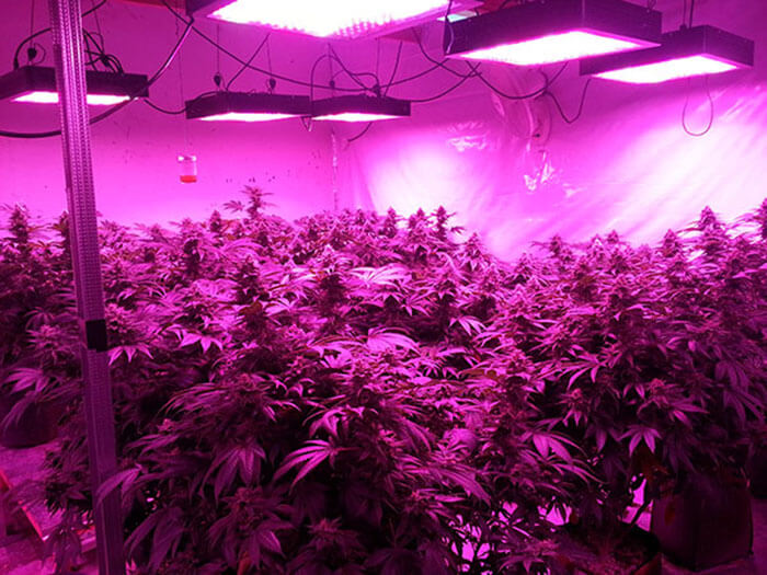 疫情之下，照明燈具企業如何求生
